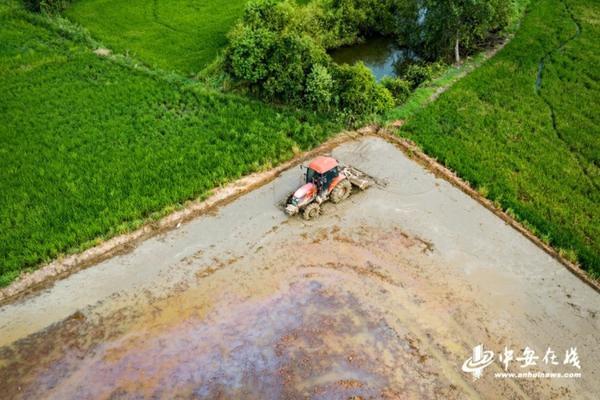 除草剂怎么兑水不起泡 荠菜出苗快的方法？