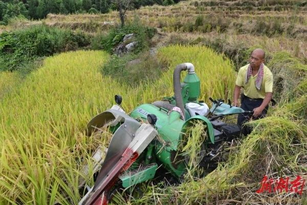 哪种除草剂适合樱桃树地 什么药能杀死楸树?