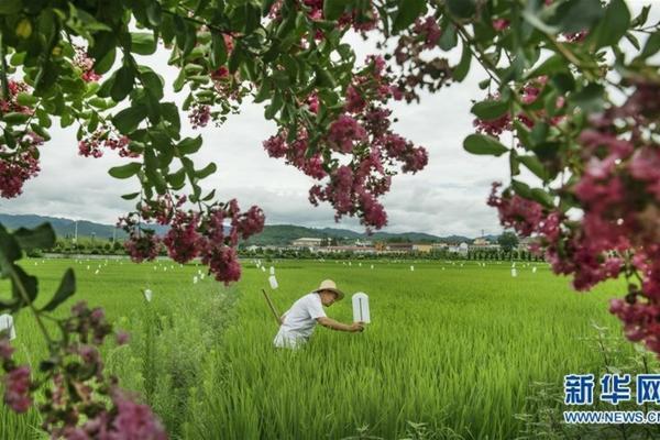 苹果一喷红最快几天红 苹果上喷了消毒液还能吃么?