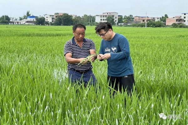 乙蒜素对害虫的杀灭作用研究
