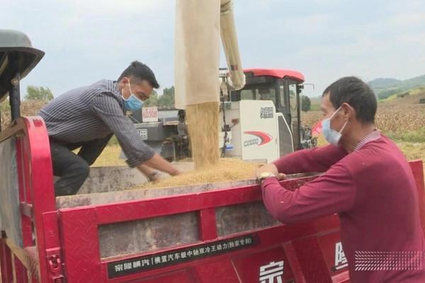 吡虫啉的安全间隔期及其相关应用