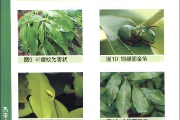 戊唑醇工艺流程详解