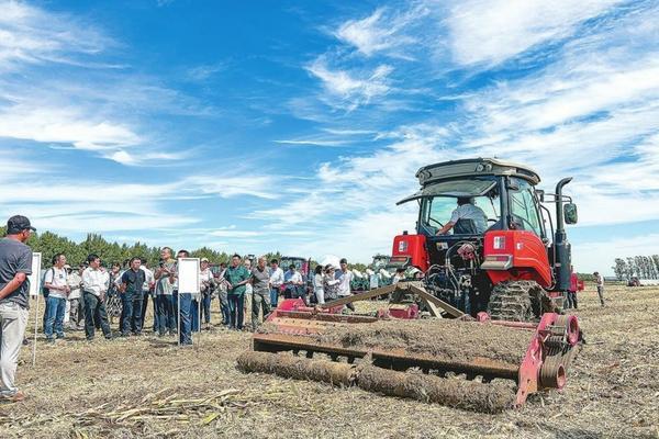 蔬菜园里都有什么蔬菜 菜园里的菜怎么样描写句子