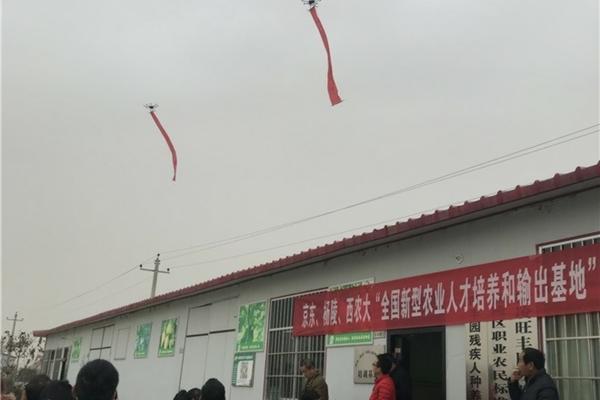 蚜虫用毒死蜱能杀死吗 吡蚜毒死蜱能杀哪些虫