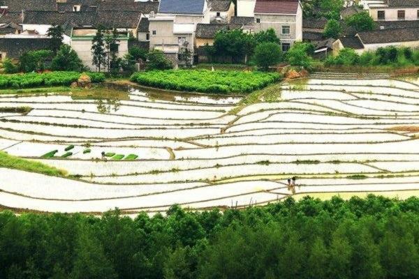 雨衣沾上农药怎么洗 怎样预防山蚂蝗?