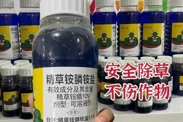 乙草胺与莠去津的配比研究:优化除草效果的关键策略