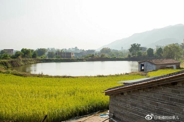 豇豆和豆角的营养价值 豇豆与豆角的生长环境