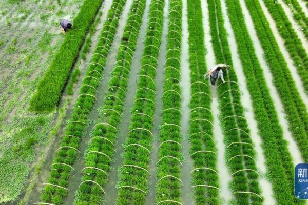 生物杀虫剂都有哪些 生物农药杀虫剂大全