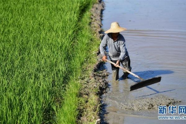 爱卡螨和多菌灵能混合使用吗 家里养月季花常备哪些药?