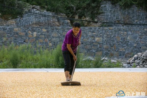多菌灵可以在室内用吗 多菌灵防治什么病