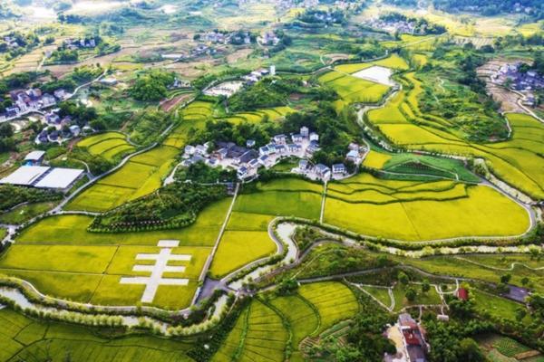 氯溴异氰尿酸对有益菌的杀菌作用分析