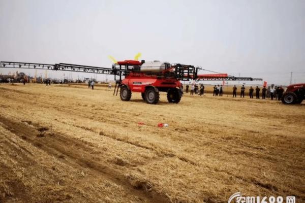 麦田除草剂可以浇树吗 冬小麦扬完花打除草农药可以吗？？