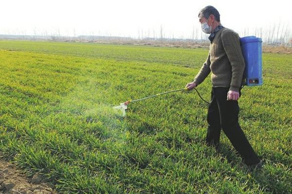 绿化草坪杂草用什么除草剂 除杂草杂树用什么除草剂好