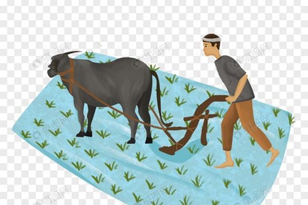 丁硫毒死蜱能否有效杀灭害虫:对牙虫的作用及更多细节解析
