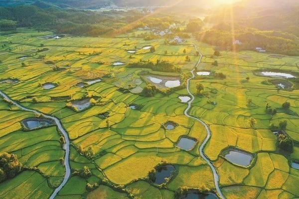 什么除草剂能除刺草根 树竹草根绝是什么除草剂?
