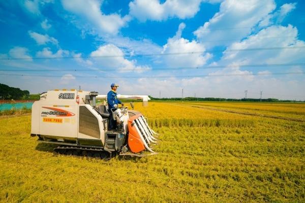 黄芩苗用什么除草剂最好使 黄芩地里现在打什么除草剂?