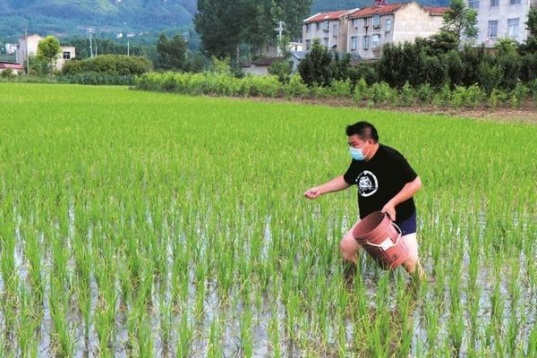 国光多菌灵兑水比例 多菌灵能不能经常喷叶