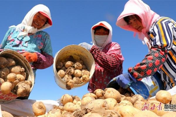 多菌灵多少钱一袋 发财树怎样消毒?