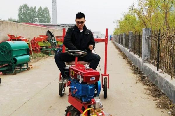 多菌灵用量过大导致叶子焦化,如何处理?
