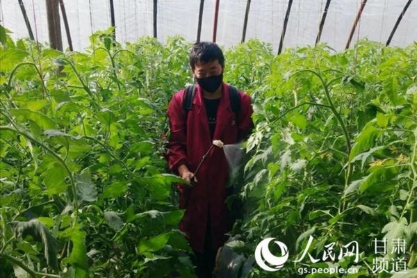 吡虫啉的功能与作用:全面解析其应用领域及效果