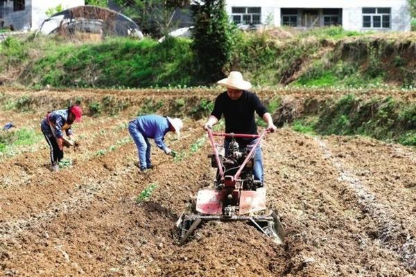 氨基酸叶面肥 先正达大量元素水溶肥