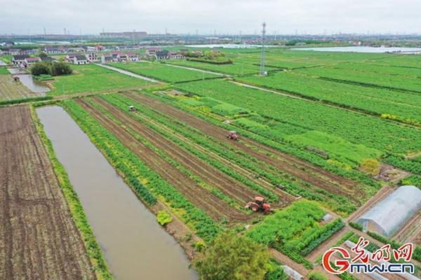 香蕉怎样才能熟得快 生香蕉怎么能熟得快?