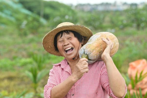 多菌灵水溶液怎么使用 多菌灵的正确使用方法配比?