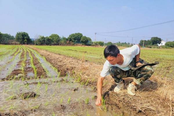 多肉植物如何养植 多肉怎么养多肉怎么养?