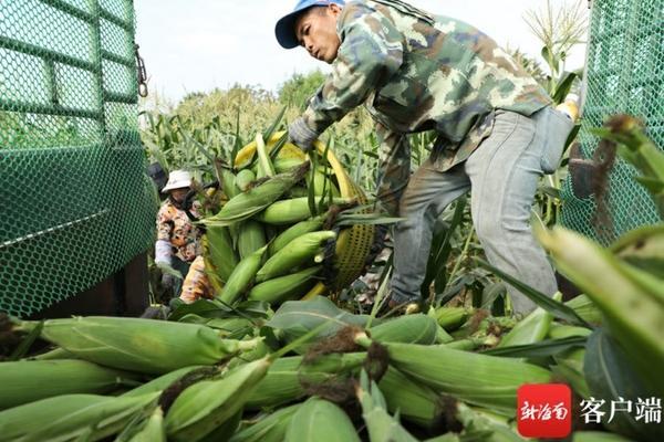 鸭子吃了打过除草剂的草有问题吗 农资店为什么回收农药瓶子?