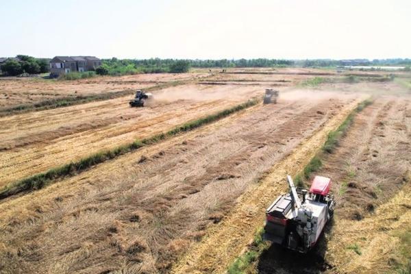 除草剂喷雾器怎么清理喷头 新型电动喷雾器喷杆安装方法？