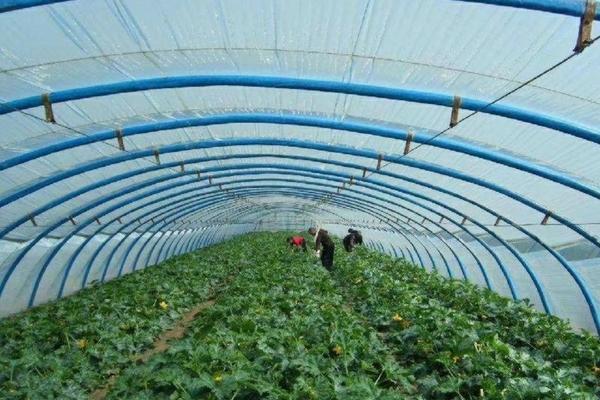 什么牌的除草剂好用一点 国产唑来膦酸哪个牌子好?