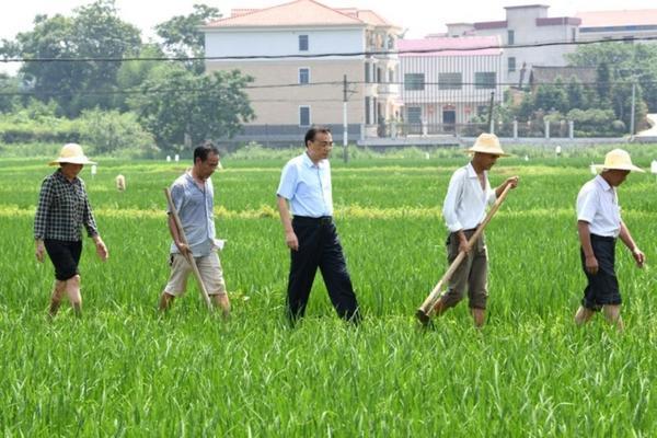 喷了多菌灵叶子发软怎么回事 法师叶子蔫了怎么办？