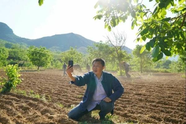 戊唑多菌灵治水稻什么病 戊唑多菌灵在花卉中应用