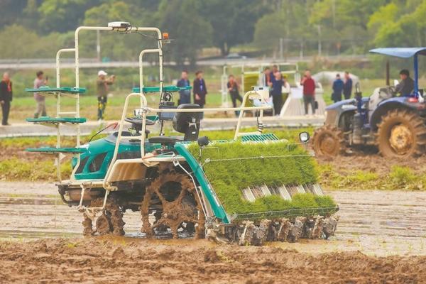 噻菌铜配多菌灵可以打多肉吗 沃柑果实膨大期可以打代森锰锌吗?