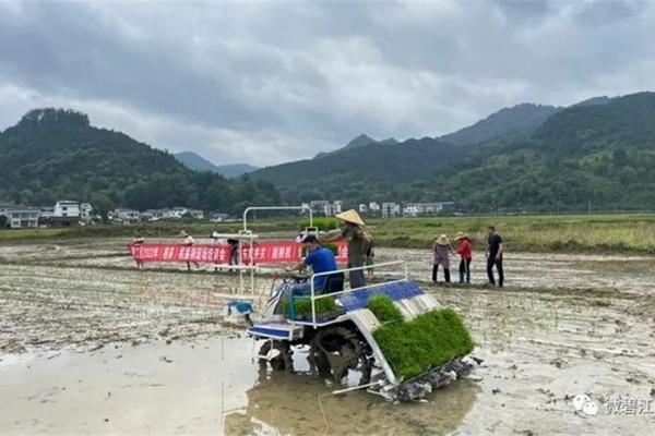 麦地里除草什么农药好用 打麦地虫药什么温度最适宜?