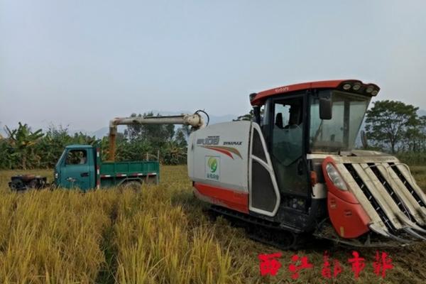 水果膨大素的用法 根茎膨大素60克一包多少钱?