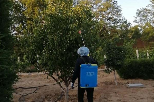 土壤杀菌消毒什么药剂最好 多菌灵的用途