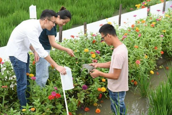 桃树生根剂什么时候用 桃树5月下旬用什么杀菌剂？