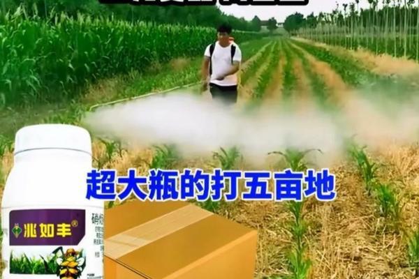 多菌灵能否拌土使用?详解其应用方法与注意事项