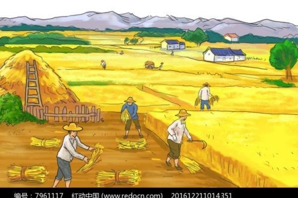 小麦和水稻是单子叶还是双子叶 双子叶植物用什么除草剂