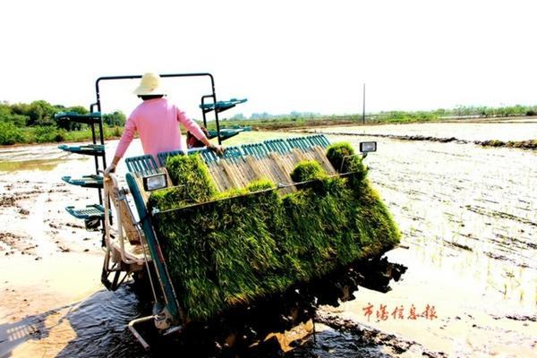 关于“多福”与“多菌灵”的解析