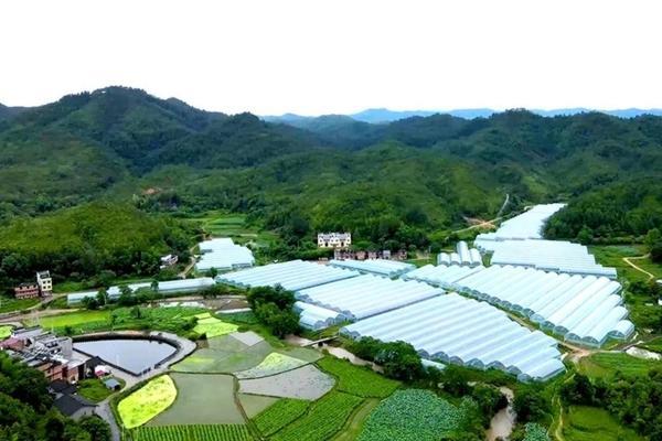 麦黄草种子如何种植方法 有哪些植物在水里生长?