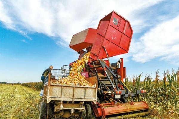 己唑醇与多菌灵能否混用:探究两种农药的相容性与使用注意事项