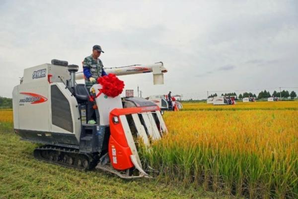 代森锰锌和嘧霉胺能混用吗 嘧霉胺能和百菌清混配吗