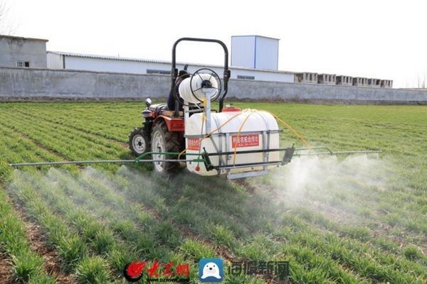 喹啉铜能和吡虫啉混用 吡唑喹啉铜100克兑多少水?