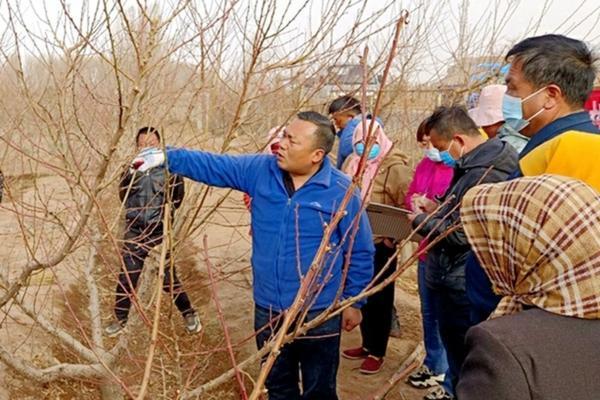 气吸式玉米播种机的技术革新与实际应用