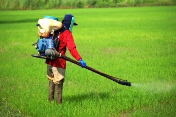 果树磷酸二氢钾喷雾用量 果树喷磷酸二氢钾500克兑多少水?