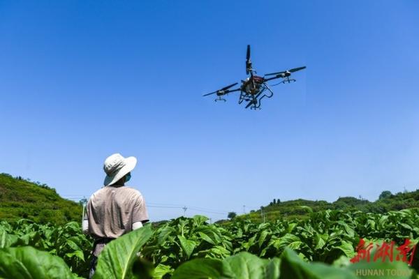 四川国光防落素有吗 苹果树有虫应用什么农药?