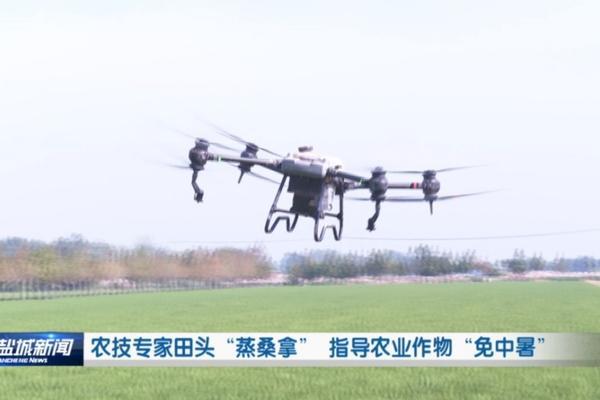 猛生根原液效果在大蒜上的效果 浇蒜地放红糖水干什么?