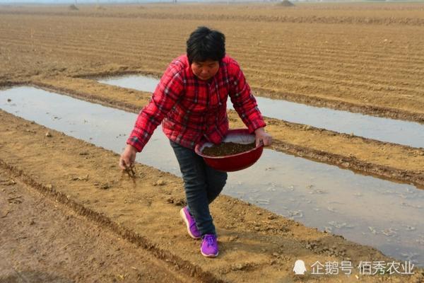 天冬的种植技术以及生长环境 植物的生存环境有哪些